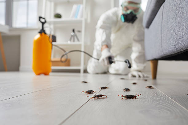 Commercial Kitchen Cockroach Control in Northford